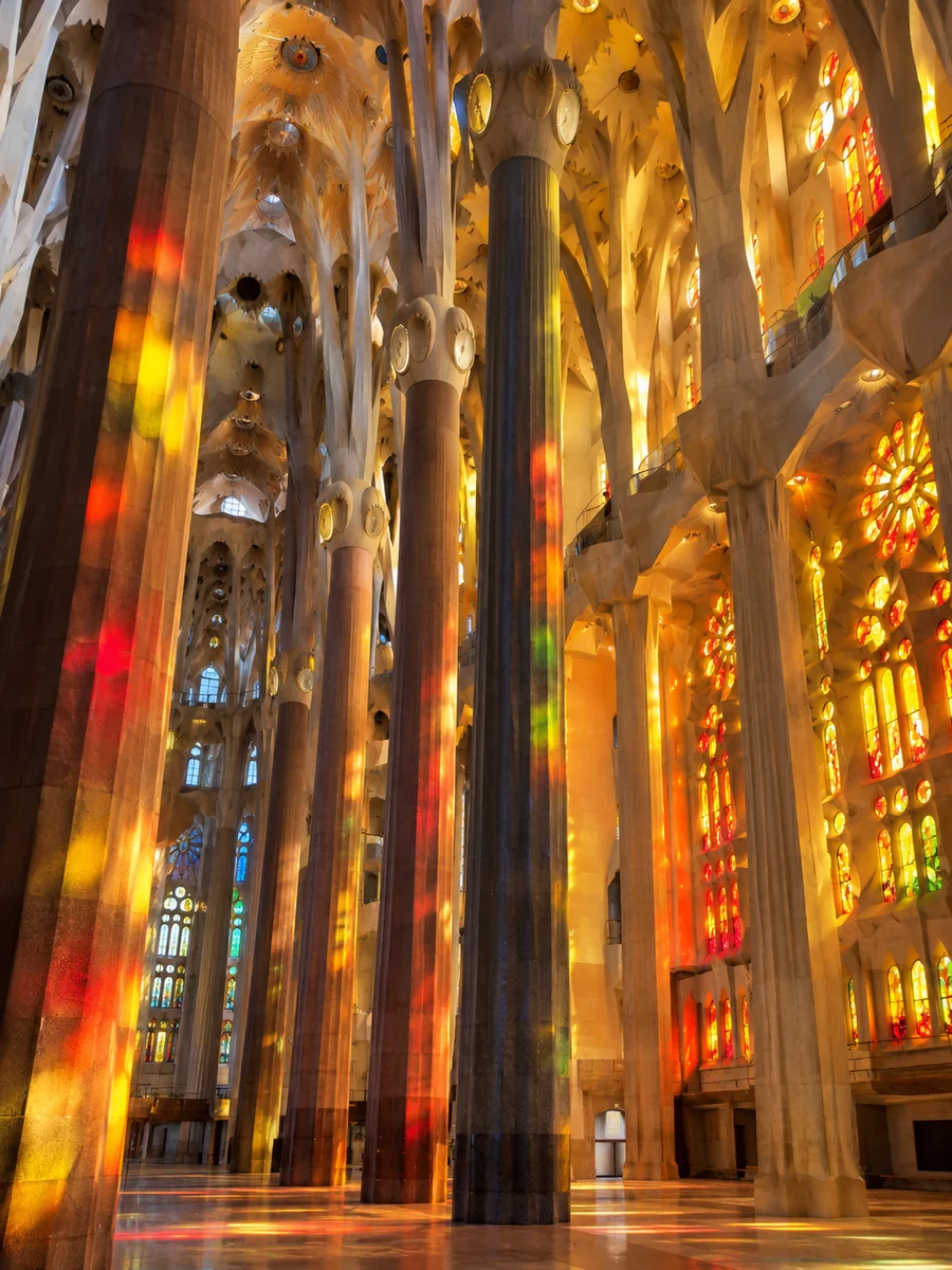 Late afternoon light through red and gold stained glass on the tree-like columns of the nave