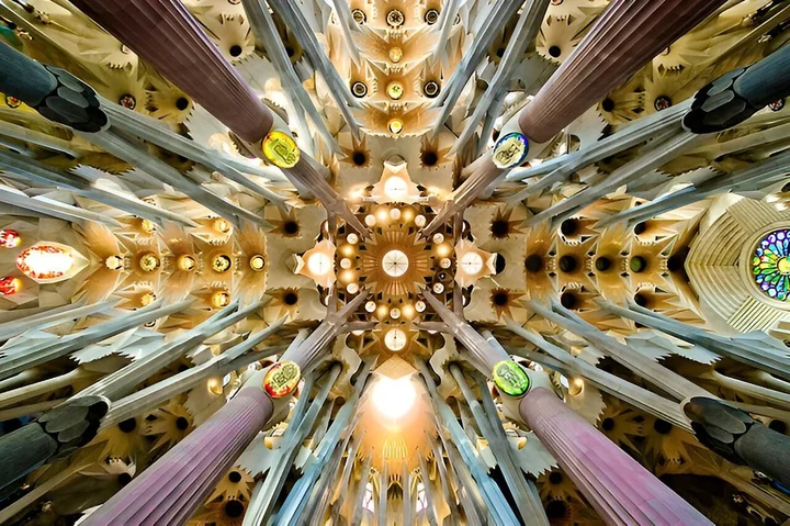 Looking straight up at the star-shaped vaults and branching columns of the Sagrada Familia ceiling